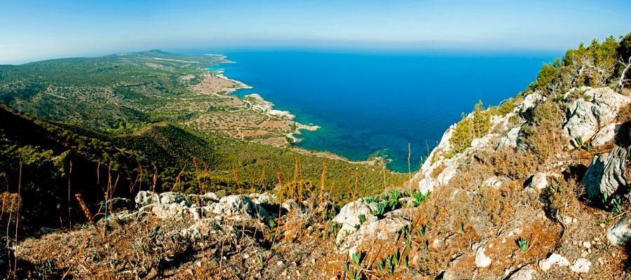 Adonis (Circular) - Pafos (Paphos) District, Akamas Forest Nature Trail image