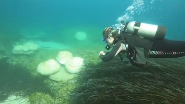 The first Snorkelling Park in Cyprus